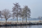 Steinhuder Meer im November 2010